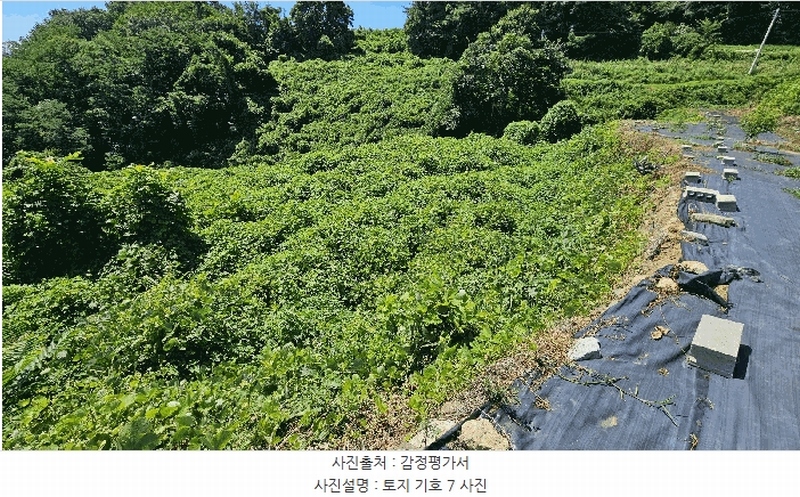 2025타경31044 경상남도 남해군 설천면 문의리 710-2 농지 경매 이미지