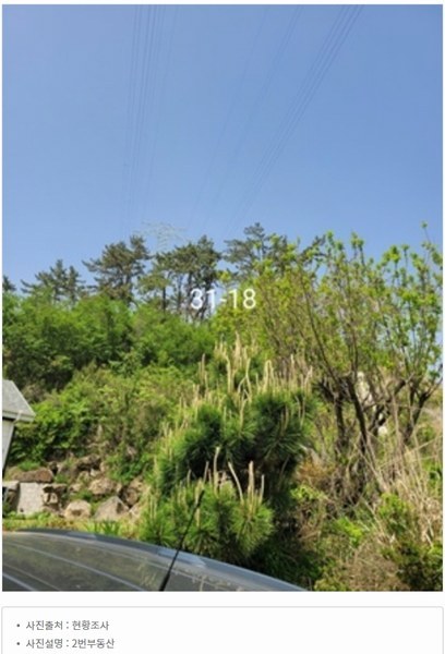 2024타경103828 부산광역시 기장군 장안읍 길천리 31-18 임야 경매 이미지
