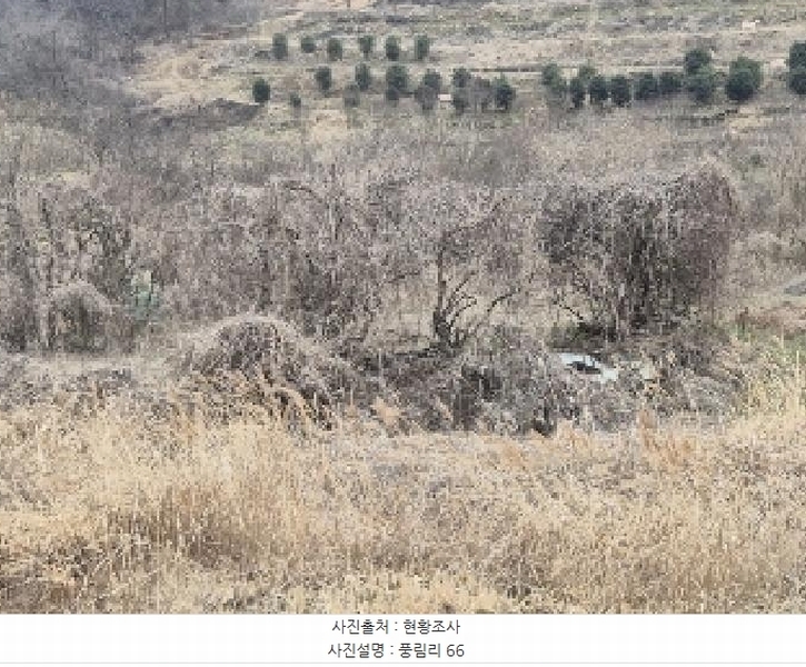2025타경646 전라남도 나주시 남평읍 풍림리 66 농지 경매 이미지