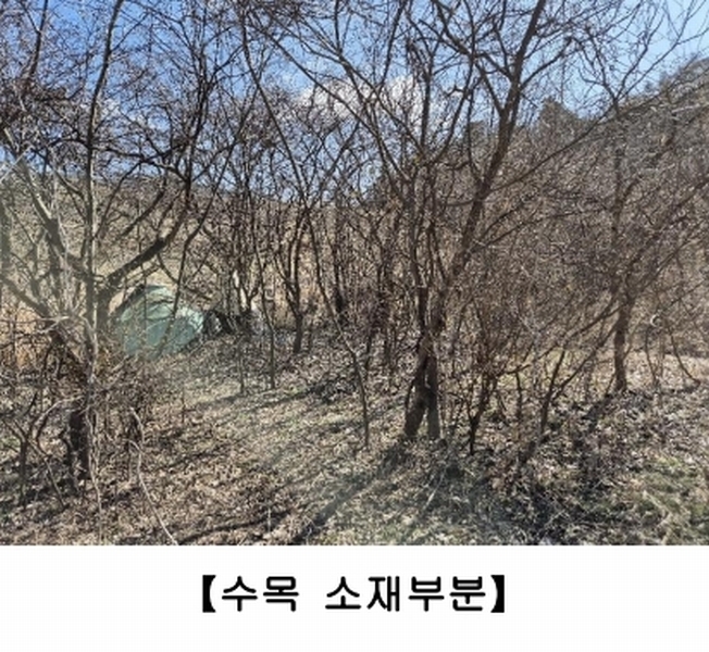 2025타경646 전라남도 나주시 남평읍 풍림리 66 농지 경매 이미지