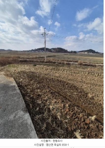 2025타경30531 전라남도 영광군 염산면 옥실리 858-1 도로 경매 이미지