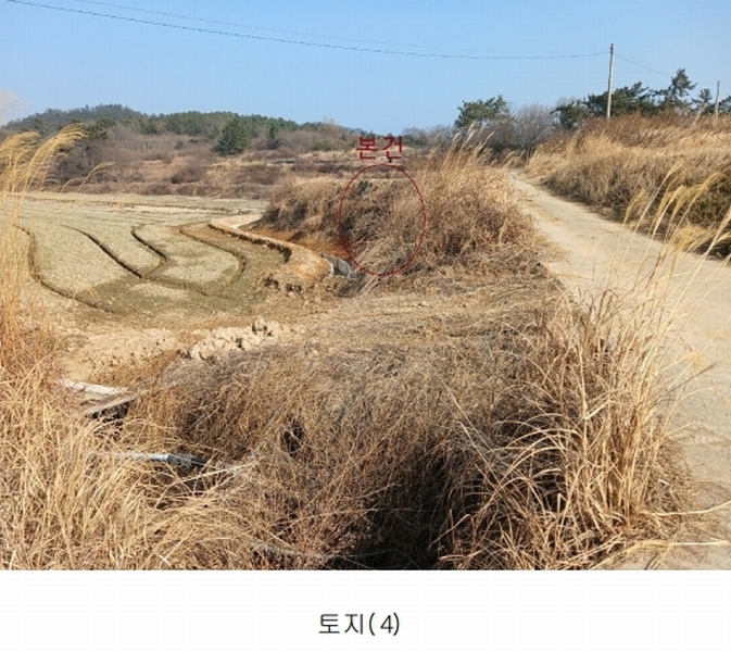 2025타경30531 전라남도 영광군 염산면 옥실리 858-1 도로 경매 이미지