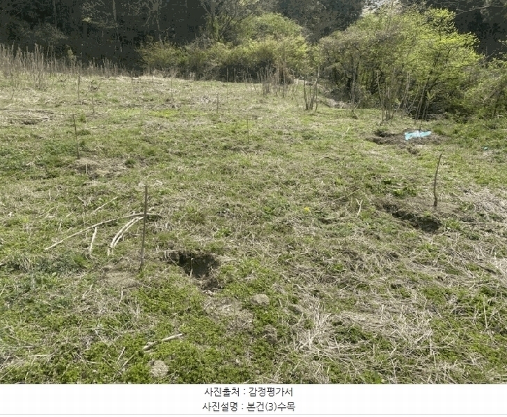 2025타경32556 전라남도 화순군 이양면 초방리 877 농지 경매 이미지