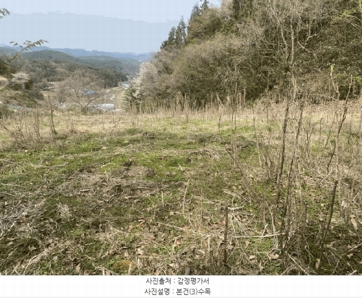 2025타경32556 전라남도 화순군 이양면 초방리 877 농지 경매 이미지