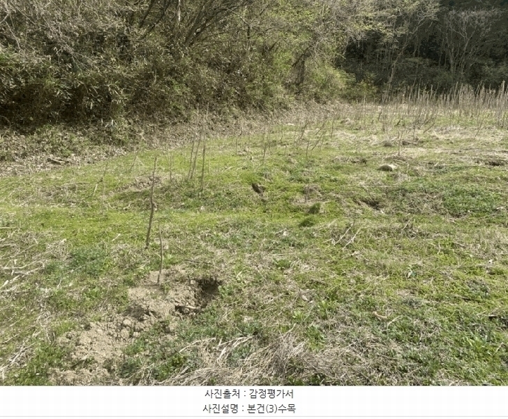 2025타경32556 전라남도 화순군 이양면 초방리 877 농지 경매 이미지