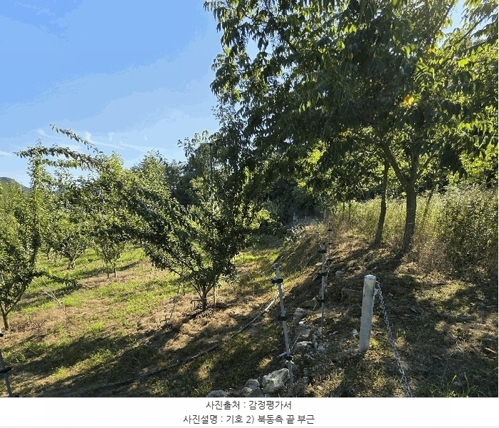 2025타경10229 대구광역시 군위군 삼국유사면 석산리 799 농지 경매 이미지