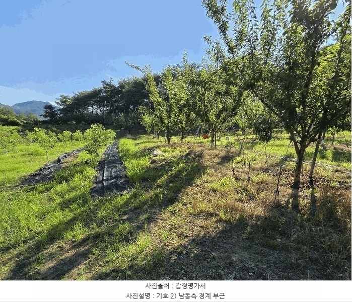 2025타경10229 대구광역시 군위군 삼국유사면 석산리 799 농지 경매 이미지