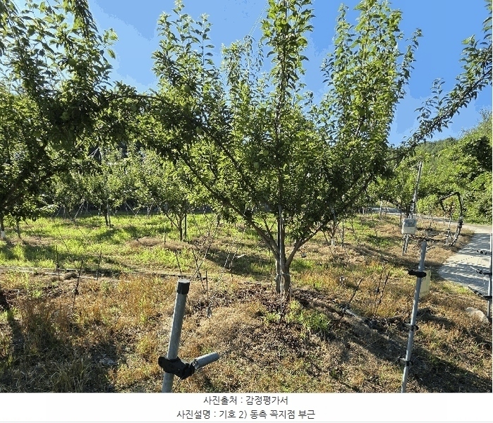 2025타경10229 대구광역시 군위군 삼국유사면 석산리 799 농지 경매 이미지