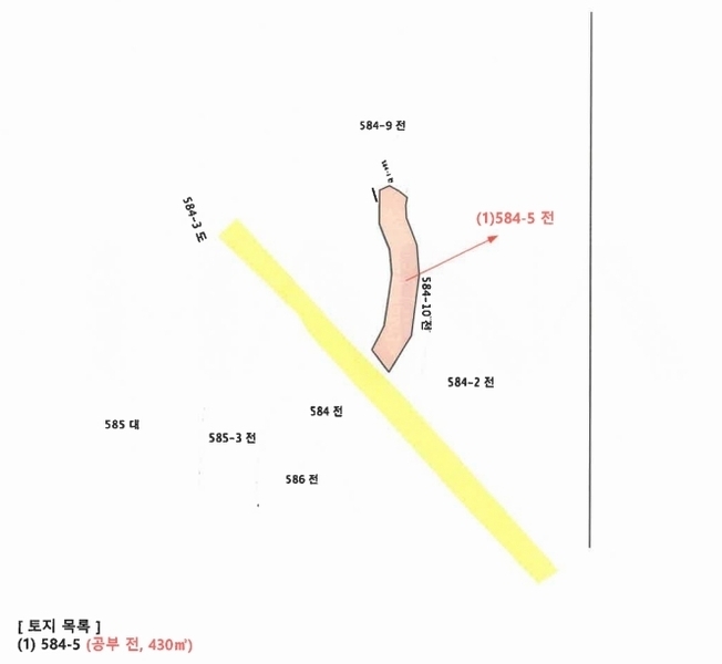2026타경38 충청북도 괴산군 청안면 금신리 584-5 농지 경매 이미지