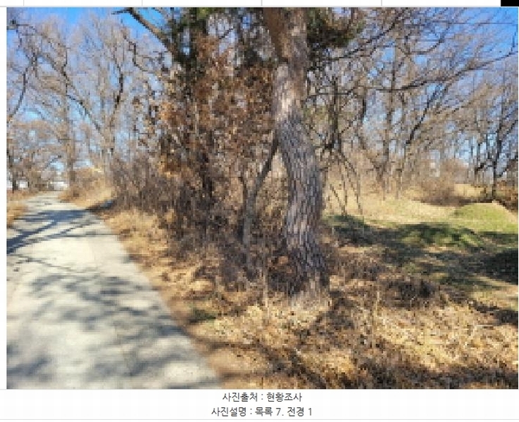 2025타경148 경기도 김포시 통진읍 가현리 323 임야 경매 이미지