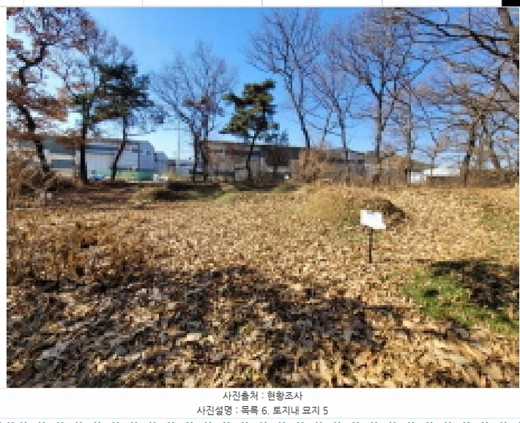 2025타경148 경기도 김포시 통진읍 가현리 262-3 임야 경매 이미지