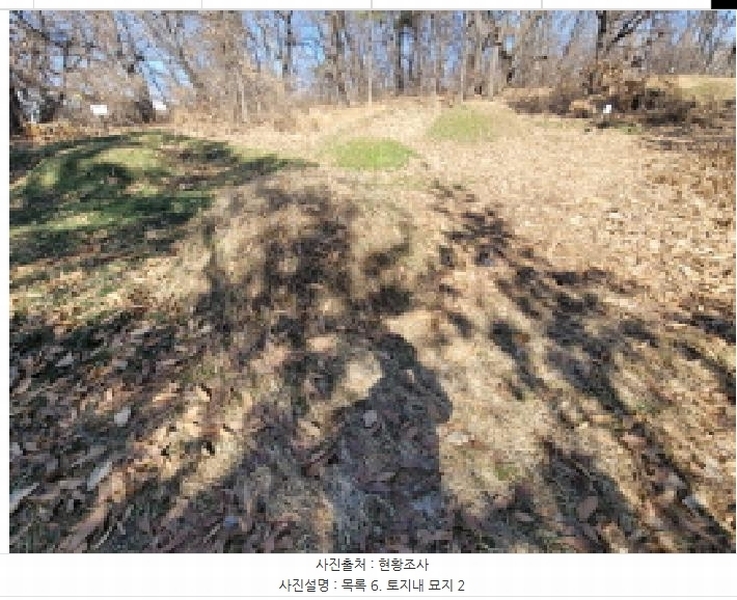 2025타경148 경기도 김포시 통진읍 가현리 262-3 임야 경매 이미지