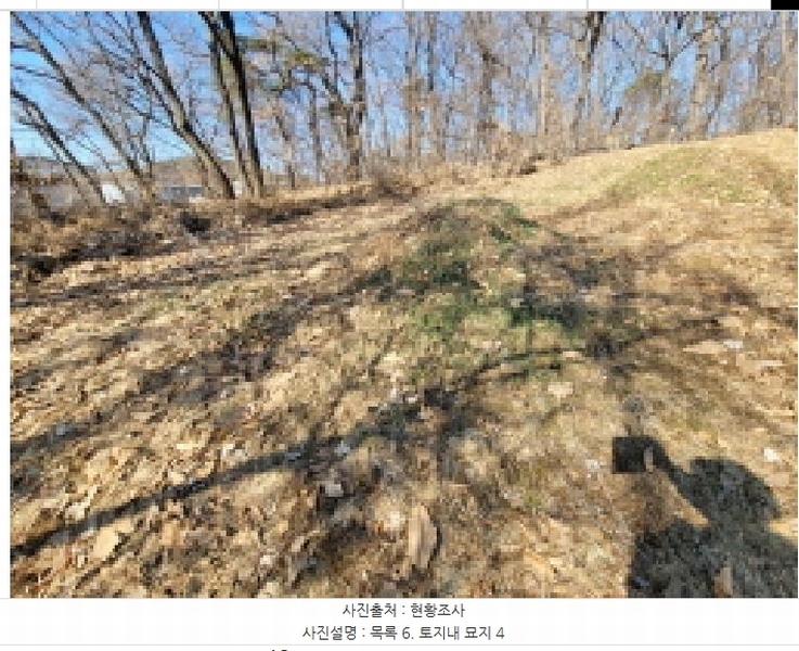 2025타경148 경기도 김포시 통진읍 가현리 262-3 임야 경매 이미지