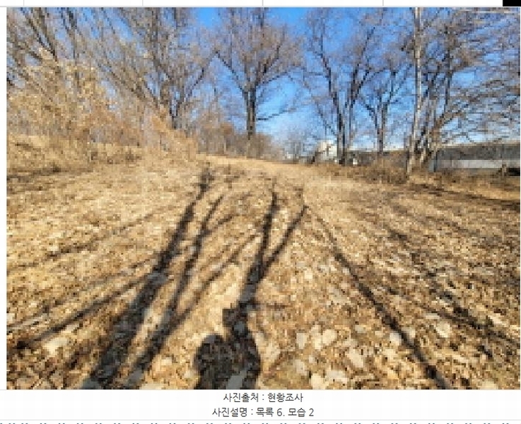 2025타경148 경기도 김포시 통진읍 가현리 262-3 임야 경매 이미지