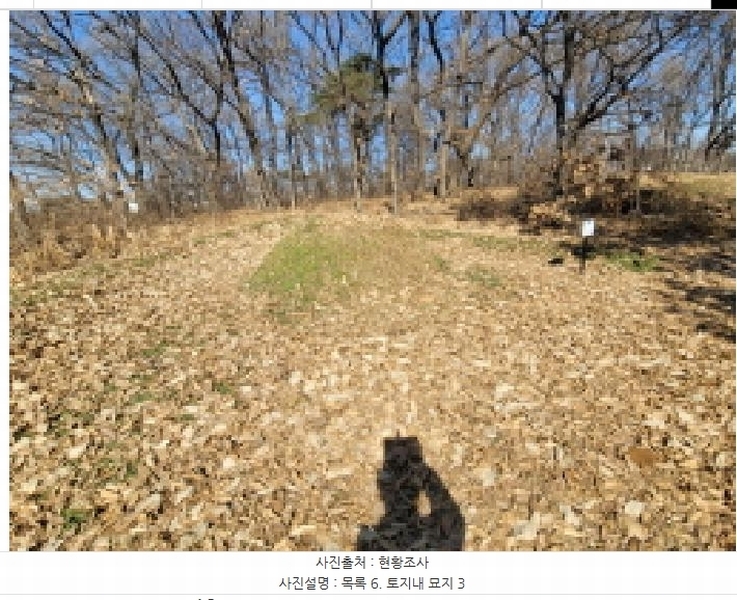 2025타경148 경기도 김포시 통진읍 가현리 262-3 임야 경매 이미지