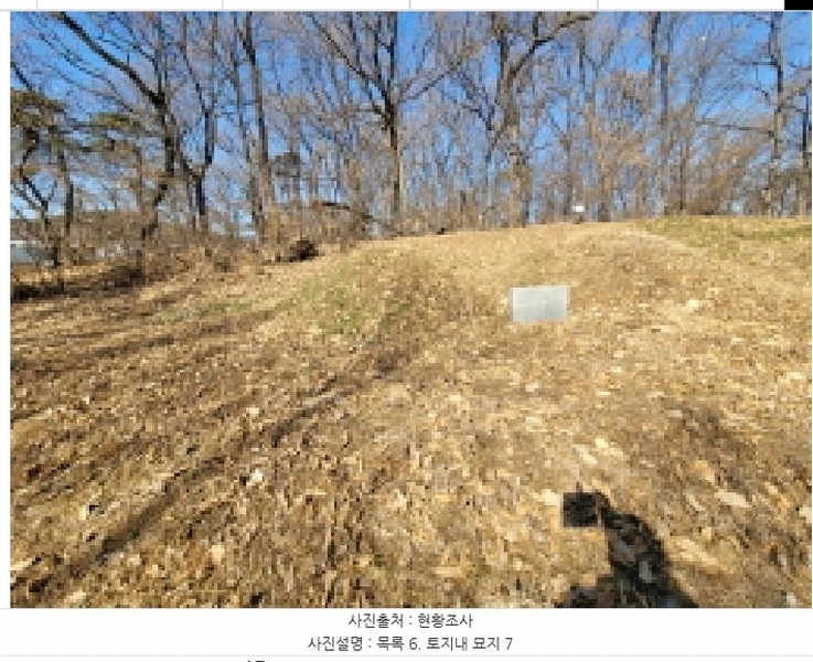 2025타경148 경기도 김포시 통진읍 가현리 262-3 임야 경매 이미지
