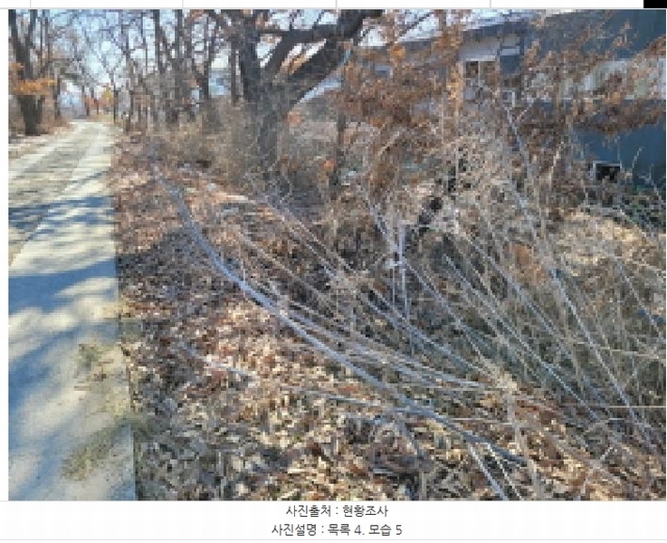 2025타경148 경기도 김포시 통진읍 가현리 262-1 임야 경매 이미지