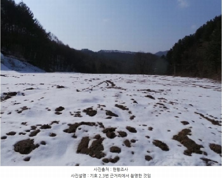 2025타경363 강원특별자치도 평창군 용평면 용전리 66 농지 경매 이미지