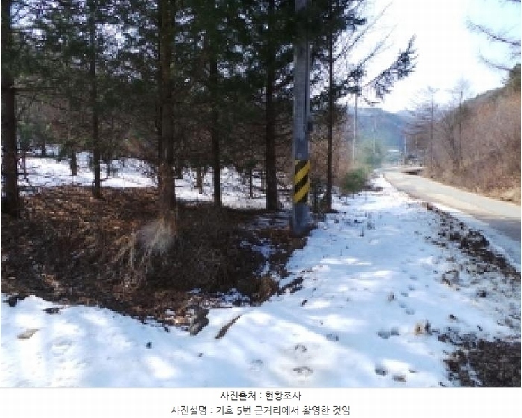 2025타경363 강원특별자치도 평창군 용평면 용전리 66 농지 경매 이미지