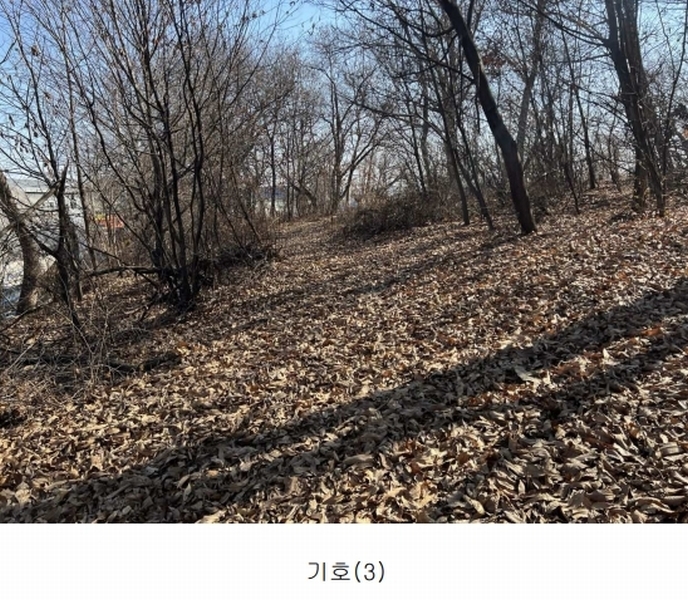 2025타경148 경기도 김포시 통진읍 가현리 262 임야 경매 이미지