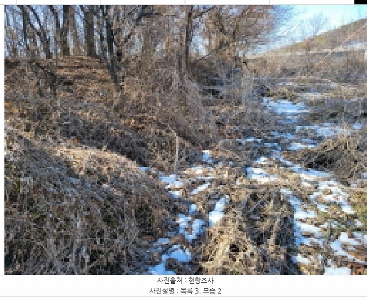 2025타경148 경기도 김포시 통진읍 가현리 262 임야 경매 이미지