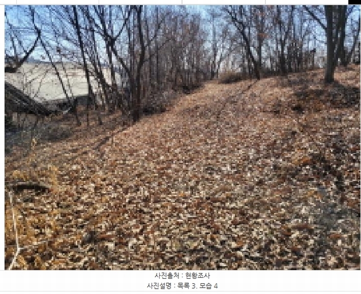 2025타경148 경기도 김포시 통진읍 가현리 262 임야 경매 이미지