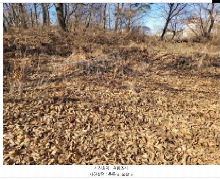 2025타경148 경기도 김포시 통진읍 가현리 262 임야 경매 이미지
