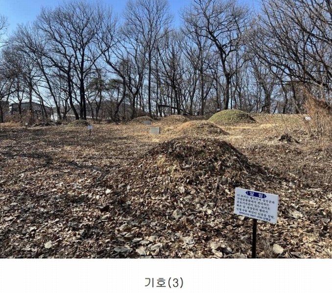 2025타경148 경기도 김포시 통진읍 가현리 262 임야 경매 이미지