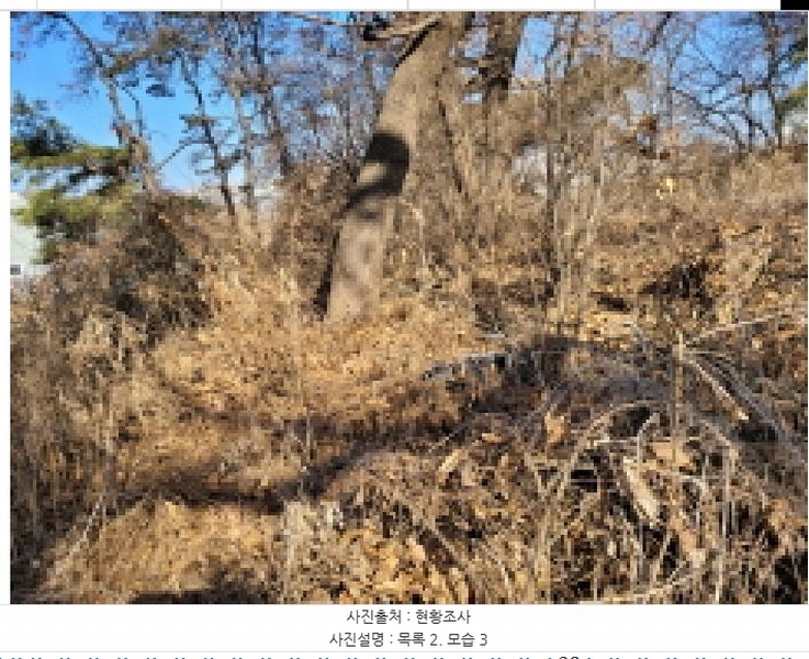 2025타경148 경기도 김포시 통진읍 가현리 215-2 농지 경매 이미지