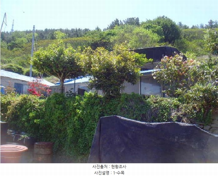 2025타경50443 전라남도 완도군 보길면 중통리 985 농지 경매 이미지
