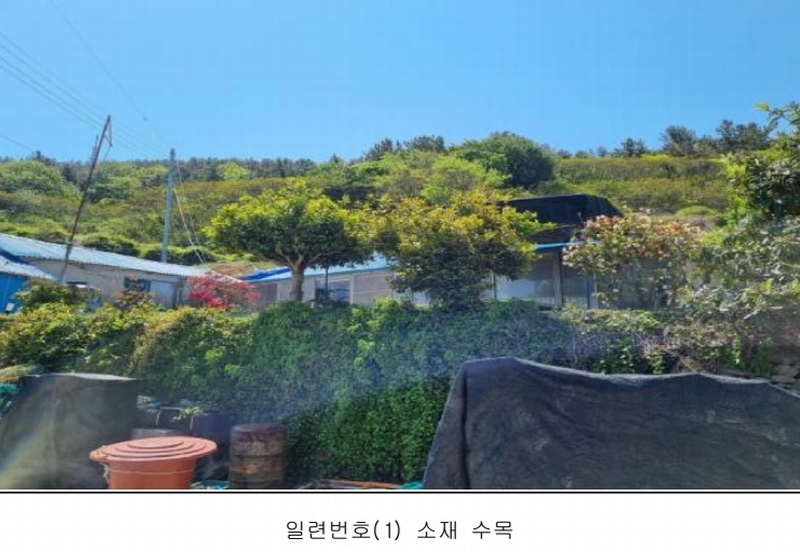2025타경50443 전라남도 완도군 보길면 중통리 985 농지 경매 이미지