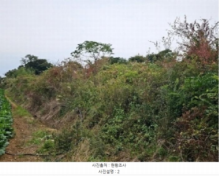 2025타경1733 전라남도 해남군 문내면 고평리 169 농지 경매 이미지