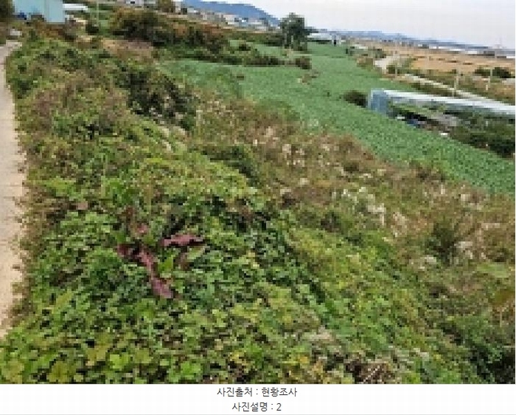 2025타경1733 전라남도 해남군 문내면 고평리 169 농지 경매 이미지