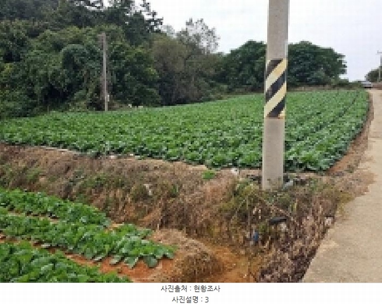 2025타경50671 전라남도 해남군 산이면 노송리 14-1 농지 경매 이미지