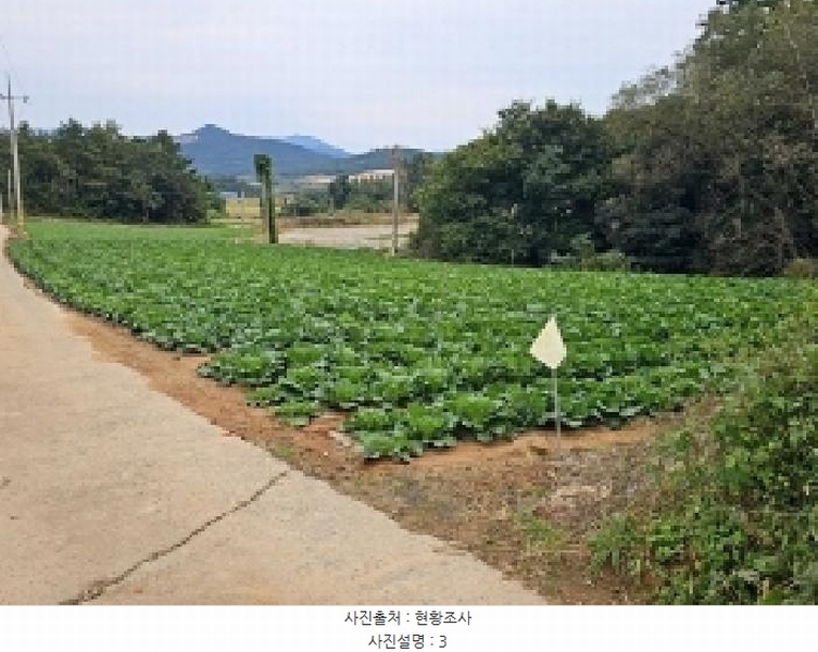 2025타경50671 전라남도 해남군 산이면 노송리 14-1 농지 경매 이미지