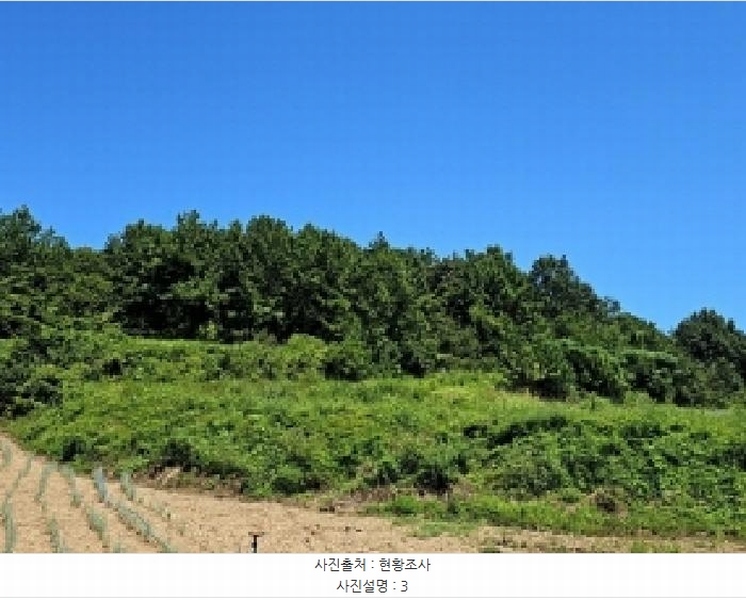 2025타경50595 전라남도 진도군 고군면 석현리 108-1 농지 경매 이미지
