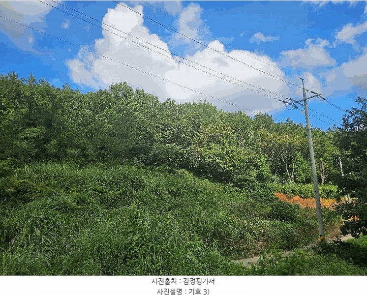 2025타경50595 전라남도 진도군 고군면 석현리 108-1 농지 경매 이미지