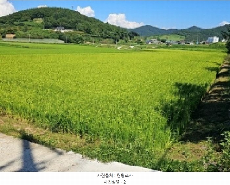 2025타경50595 전라남도 진도군 고군면 석현리 885-5 농지 경매 이미지