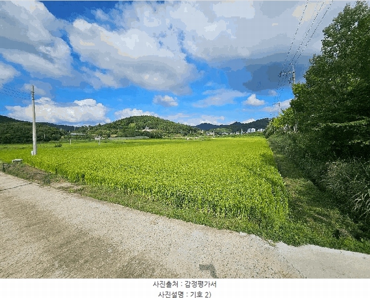 2025타경50595 전라남도 진도군 고군면 석현리 885-5 농지 경매 이미지