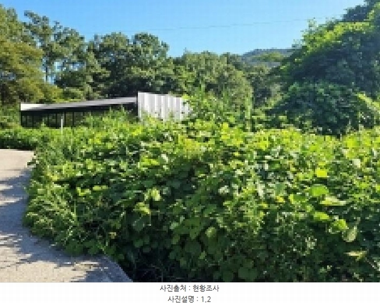 2025타경50567 전라남도 해남군 계곡면 당산리 769-1 농지 경매 이미지