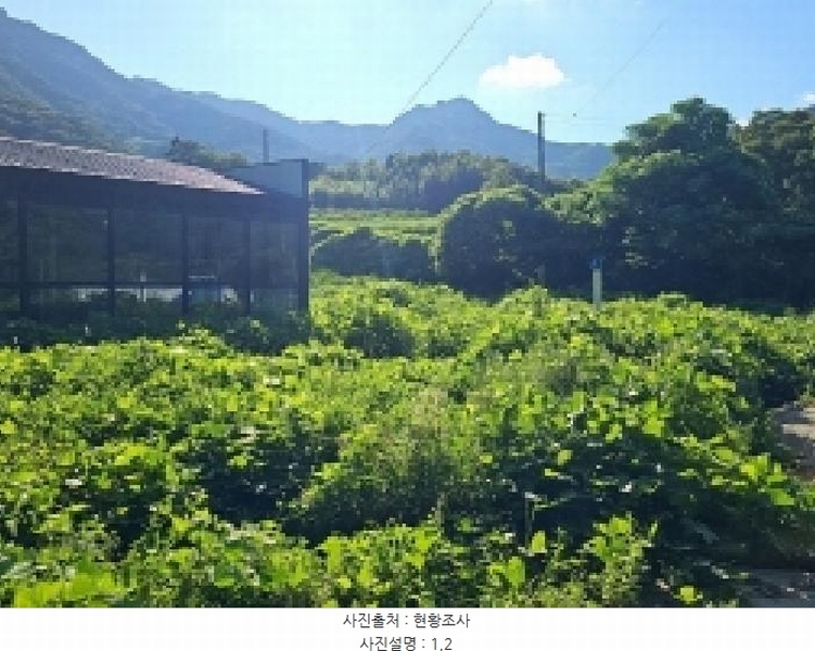 2025타경50567 전라남도 해남군 계곡면 당산리 769-1 농지 경매 이미지
