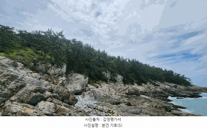 2025타경50535 전라남도 완도군 청산면 읍리 산374-2 임야 경매 이미지