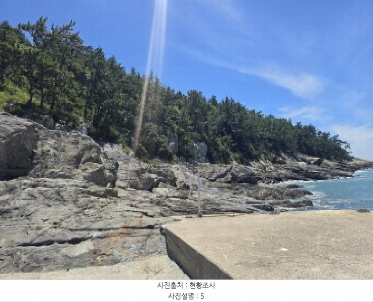 2025타경50535 전라남도 완도군 청산면 읍리 산374-2 임야 경매 이미지
