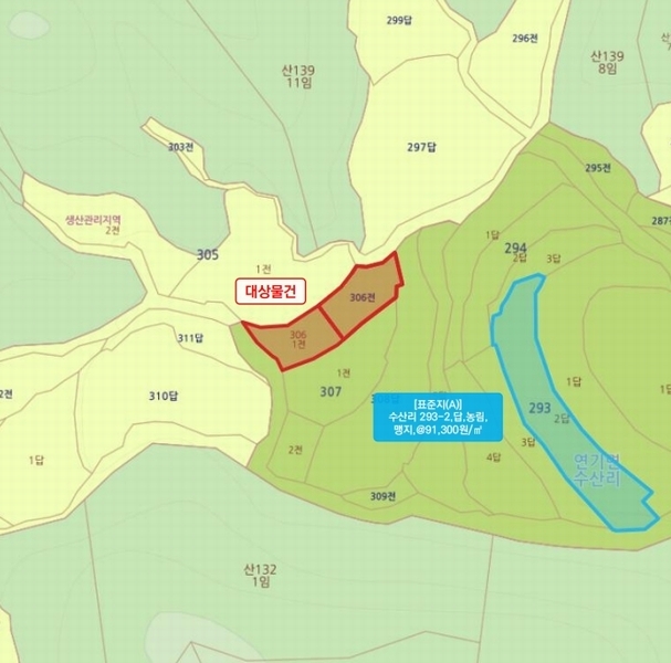 2025타경4062 세종특별자치시  연기면 수산리 306-1 농지 경매 이미지