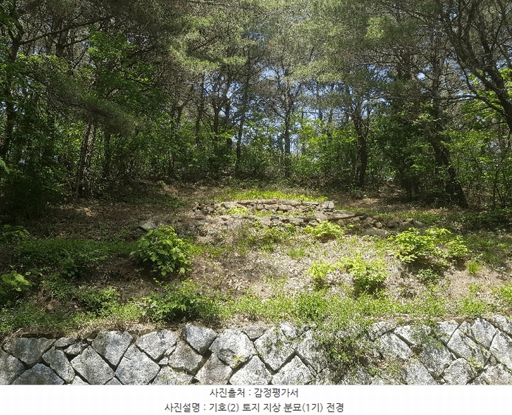 2025타경639 경상남도 사천시 곤명면 송림리 산19 임야 경매 이미지