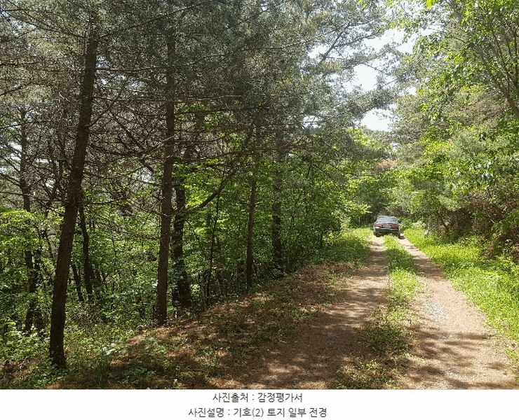 2025타경639 경상남도 사천시 곤명면 송림리 산19 임야 경매 이미지