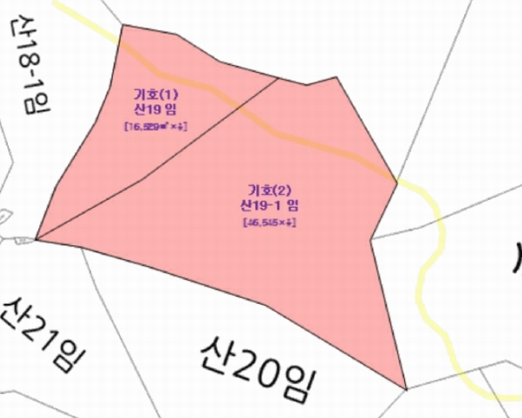 2025타경639 경상남도 사천시 곤명면 송림리 산19 임야 경매 이미지