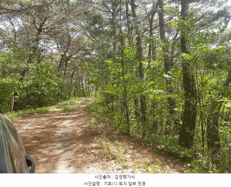 2025타경639 경상남도 사천시 곤명면 송림리 산19 임야 경매 이미지