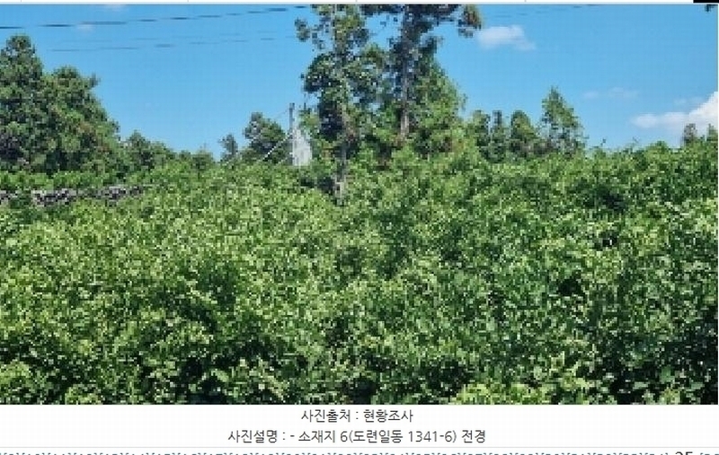 2025타경1486 제주특별자치도 제주시 도련일동 1341-1 농지 경매 이미지