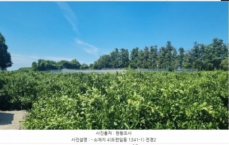 2025타경1486 제주특별자치도 제주시 도련일동 1341-1 농지 경매 이미지